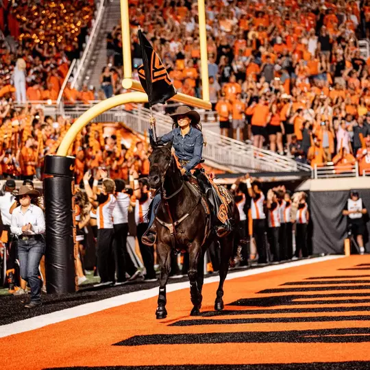 Oklahoma State Cowboy Football - 