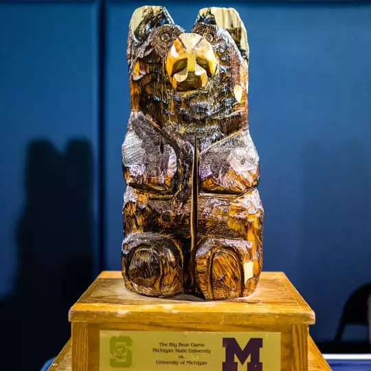 Top 10: Michigan, Illinois turned Bears