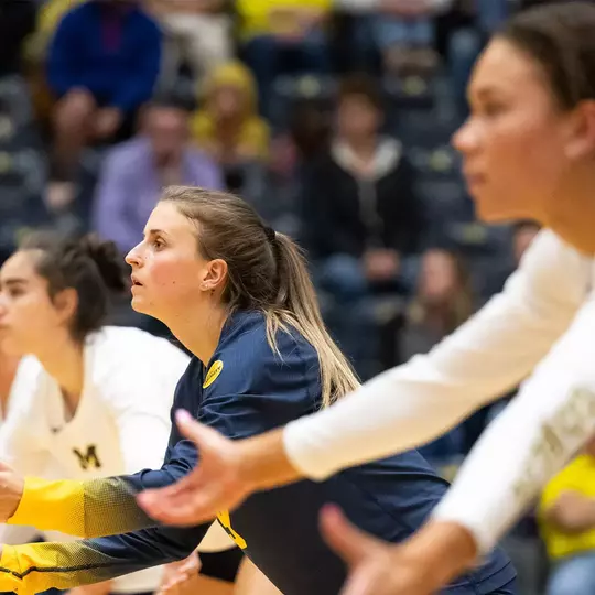 Michigan Volleyball Archive - University of Michigan Athletics