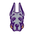 UAlbany