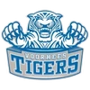 Voorhees University (S.C.)