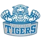 Voorhees University (S.C.)