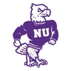 Niagara University