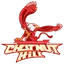 Chestnut Hill College