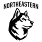 #11 Northeastern