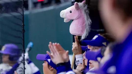 Softball Team Stock Photo with Unicorn