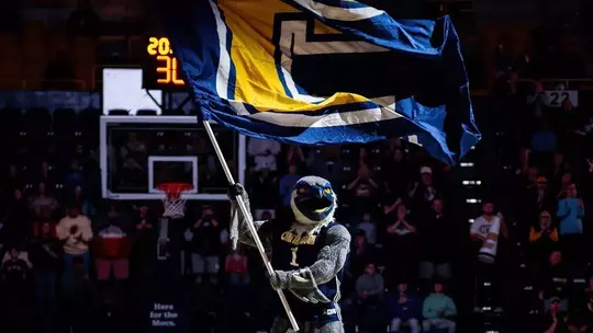 Scrappy Flag Basketball