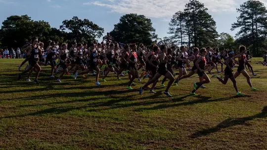 a large contingent of cross country runners at the start of a race on a grassy course.