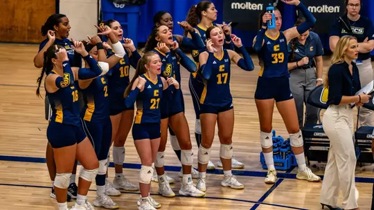 Volleyball Bench celebrating a point for the Mocs
