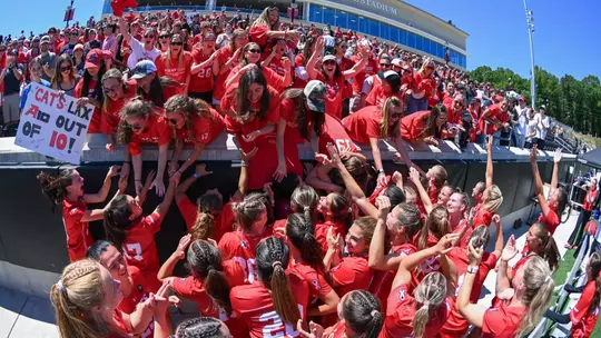 crowd and fans