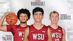 Men's basketball CSC honorees