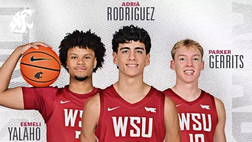 Men's basketball CSC honorees