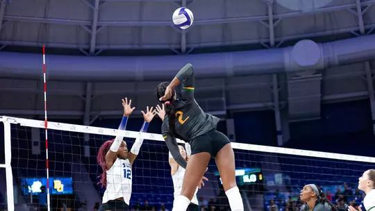 Bailey Warren Kill Net