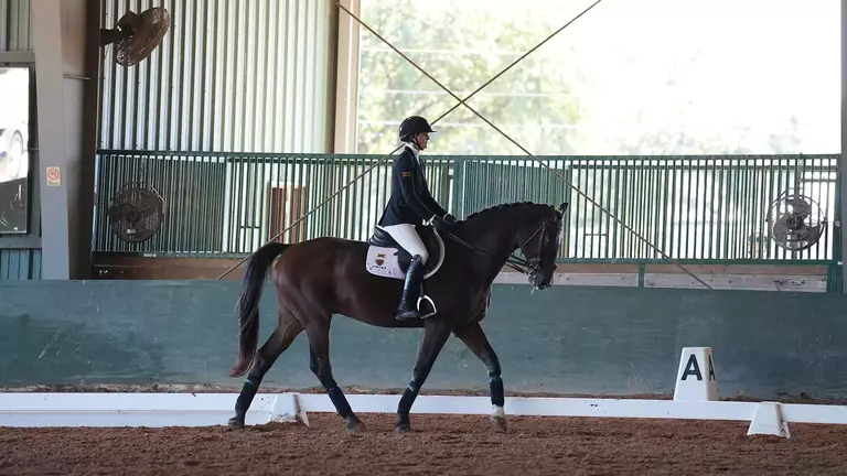 EQ at No. 5 OSU Recap