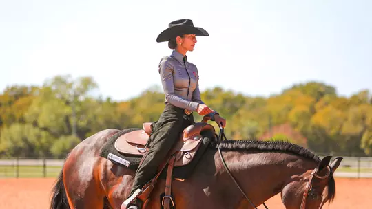 Olive Holm Equestrian 2026