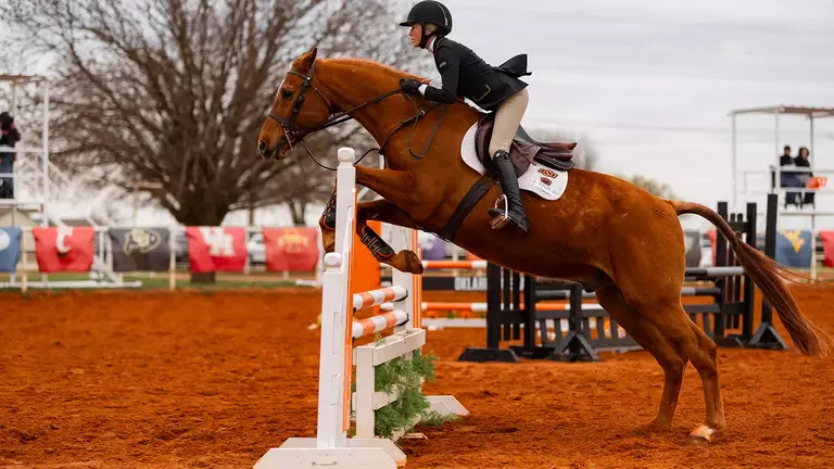 Sofia Moskowitz riding Squid at Big 12 Championships