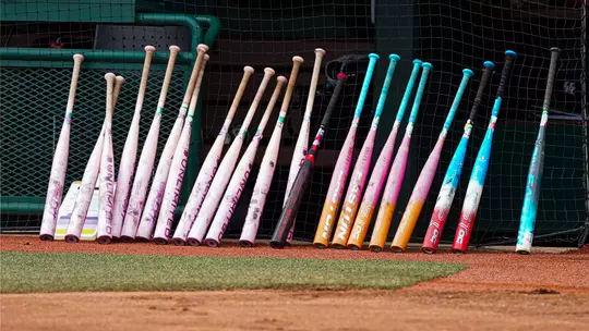 Softball bats