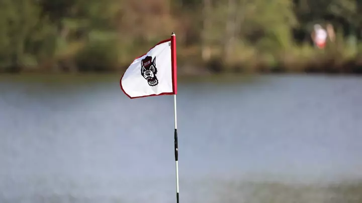 Golf Flag