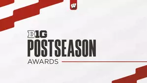Eight Badgers earn Big Ten postseason honors