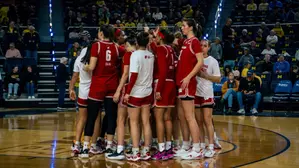 Badgers fall to No. 9 Michigan, 86-60