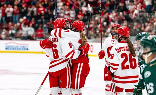 No. 1 Wisconsin sweeps Bemidji State with 6-1 win