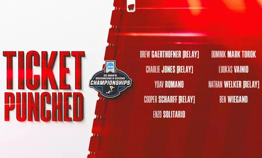 Wisconsin sends nine to NCAA Championships