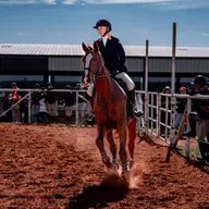 Bella Holway vs. Baylor