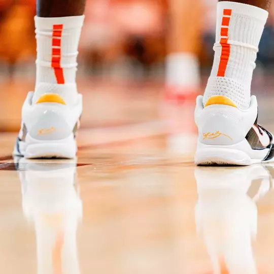 Shoes on Court