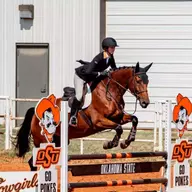 Madison Sanders Fences