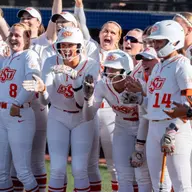 Home Run Celebration