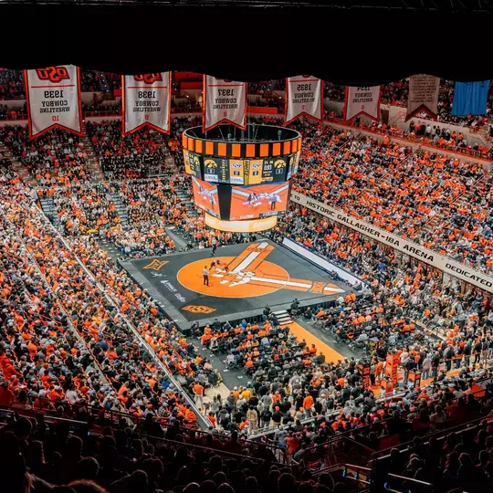 GIA vs Iowa