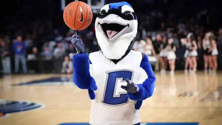 Billy Bluejay