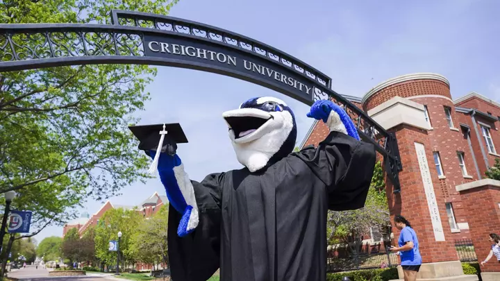Billy Bluejay graduation cap gown degree