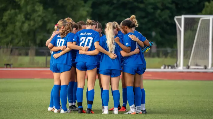 Team