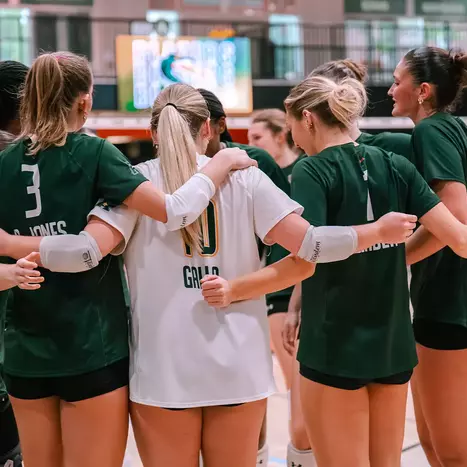 Volleyball Preview: Memphis/Tulane