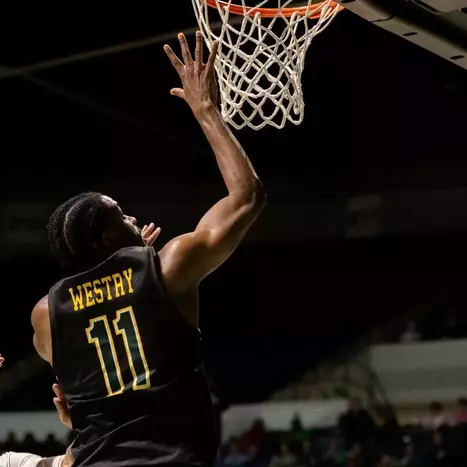 American Conference Weekly Honors: Chance Westry