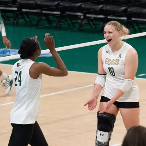 Volleyball Earns AVCA Academic Team Award