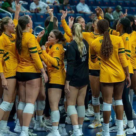Volleyball Preview: Temple/Rice