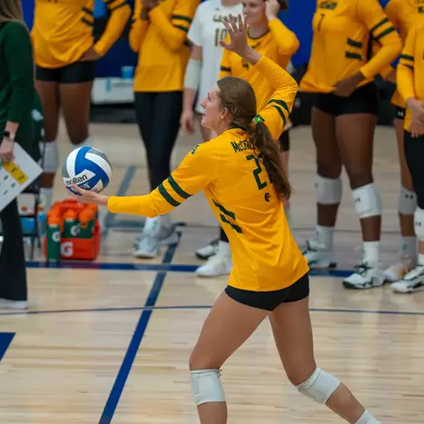 Volleyball Preview: Lou Carnesecca Invitational