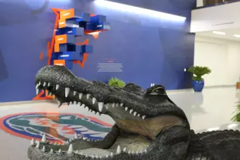 Hawkins Center Gator