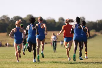 XC Preview
