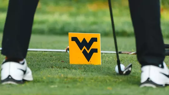 WV shot