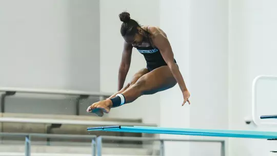 Amari Brown-Swint vs. Loyola 2025