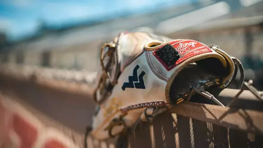Baseball Glove