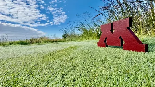 Gopher 2025