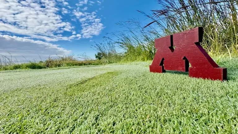 Gopher 2025