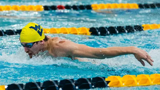 Jamin Harlan vs. Pitt