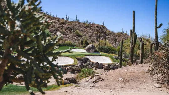 A picture of the golf course at the NCAA Regional in Marana, Arizona.