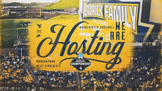 Baseball Hosting Graphic