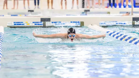 Lena Amare butterfly